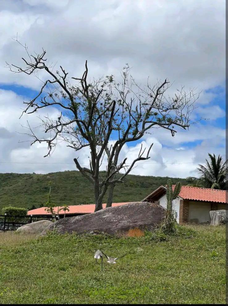 Gasthaus Flat Monte Castelo Gravata Exterior foto